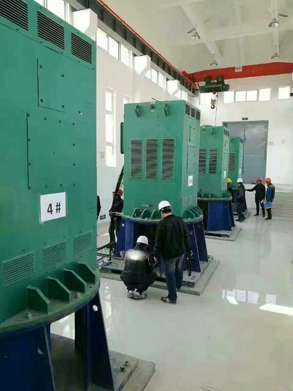 敖汉某污水处理厂使用我厂的立式高压电机安装现场