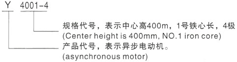 西安泰富西玛Y系列(H355-1000)高压敖汉三相异步电机型号说明